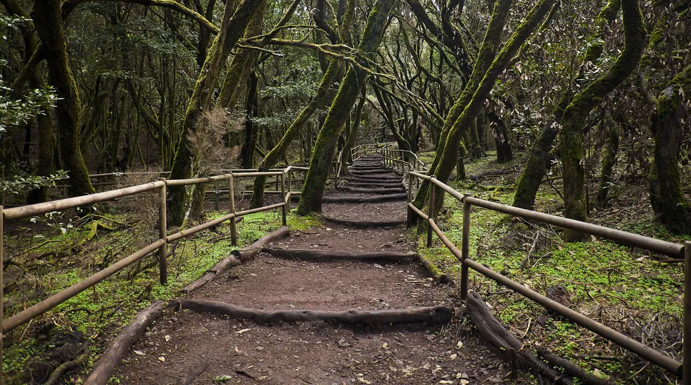 La Gomera — Day trip (Fred. Olsen / Naviera Armas + Garajonay NP + San Sebastián) – Tenerife