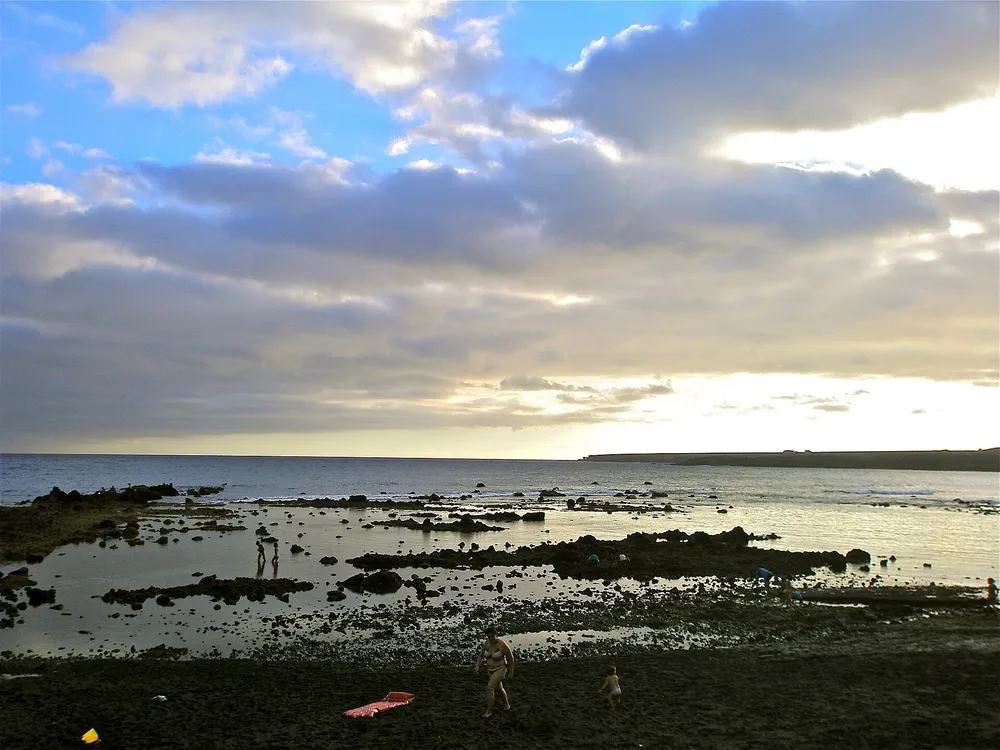 Las Galletas + Finca Las Margaritas Banana Experience – Tenerife
