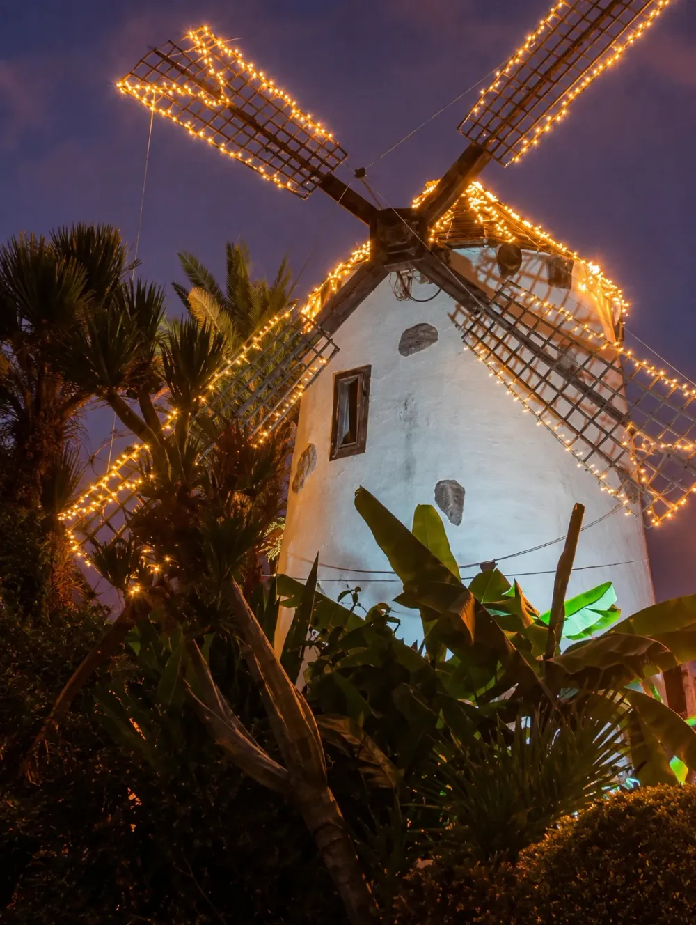 El Molino Blanco – Costa Adeje, Tenerife